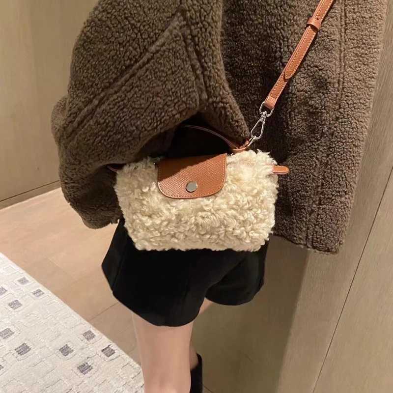 French Niche Popular Dumpling Bag for Women 2024 Winter New Korean Version Oneshoulder Crossbody Bag Lamb Bag Handheld Fur Bag Y251027