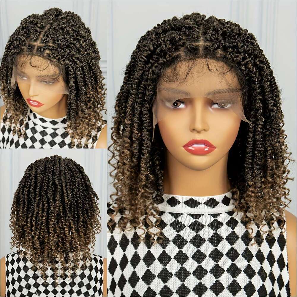 Curly Braids Synthetic Lace Beginners Friendly Heat Resistant Wig For Women