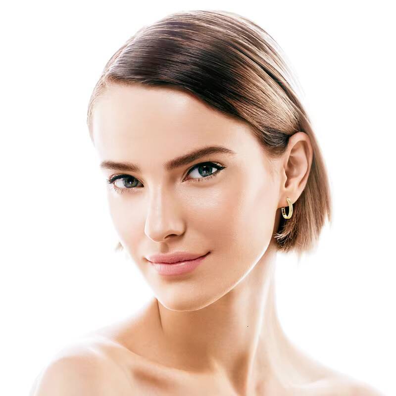 925 Sterling Silver Round Moissanite Piercing Engagement Jewelry Double Row Trend Hoop Earrings for Women