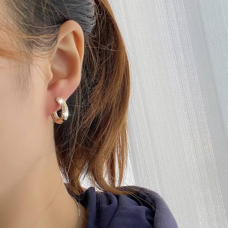 Passed Diamond Test GRA Certificated Shinning Sparkling Hoop 925 Sterling Silver Iced Out Moissanite Stud Earrings