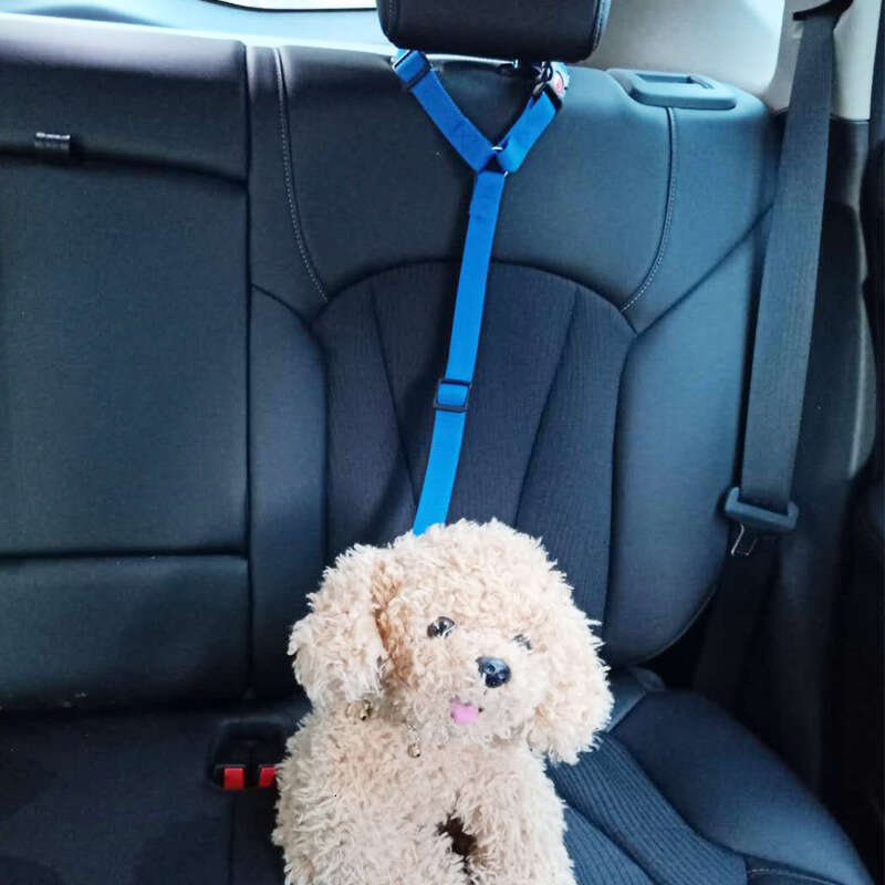 Car Leash Dog Chain Safety Rope Lock Buckle Seat Pet Belt