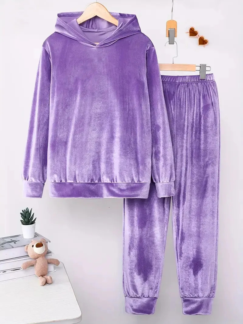 Autumn Winter Plush Two Piece Set Loose Solid Color Hooded Long Sleeved Sweatshirt Elastic Waist Trousers For Women 251027