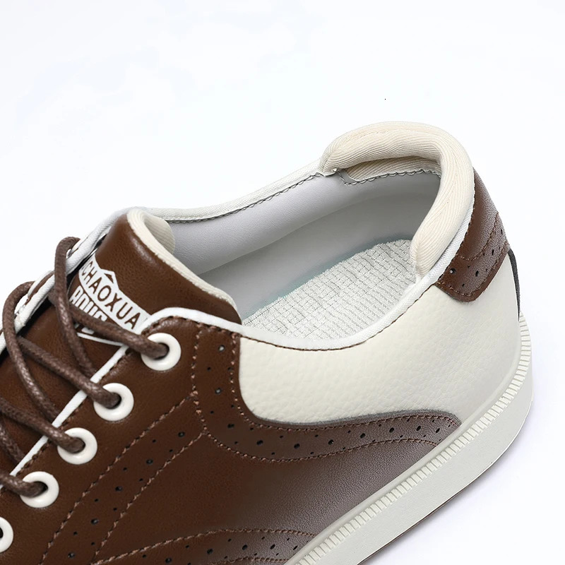 Four Seasons Universal Golf Shoes Mens Waterproof And Breathable Golf fixed Needle BOA Golf Shoes Outdoor Walking Sports Shoes 251023