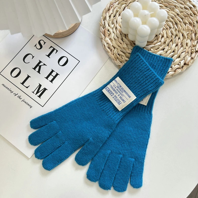 Winter Women Knitted Gloves Autumn Hand Warmer Thicken Lining Full Fingered Mittens Skiing Solid Color Gloves For Women 251024