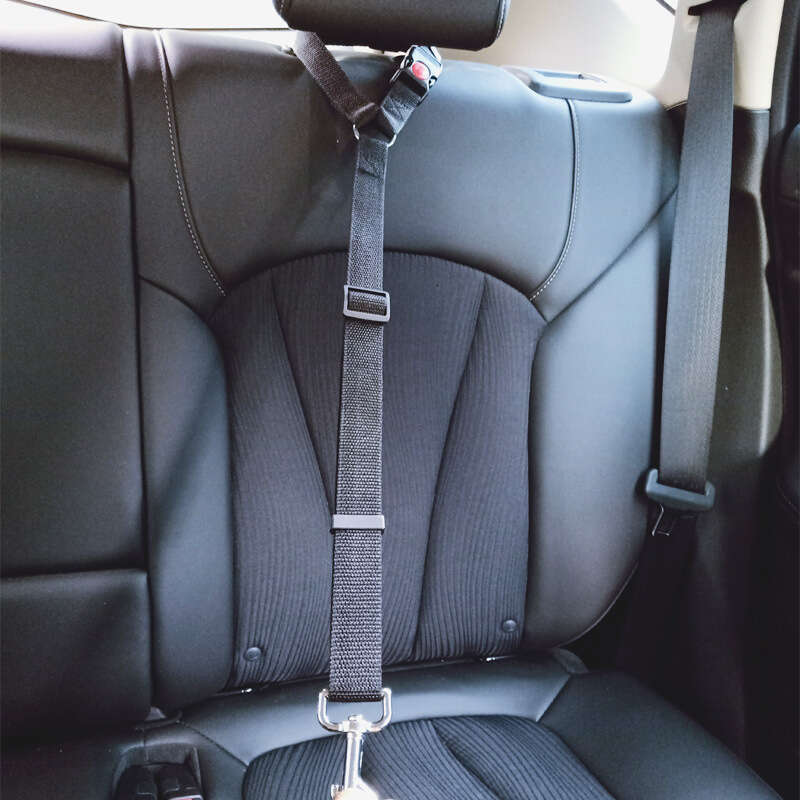 Car Leash Dog Chain Safety Rope Lock Buckle Seat Pet Belt