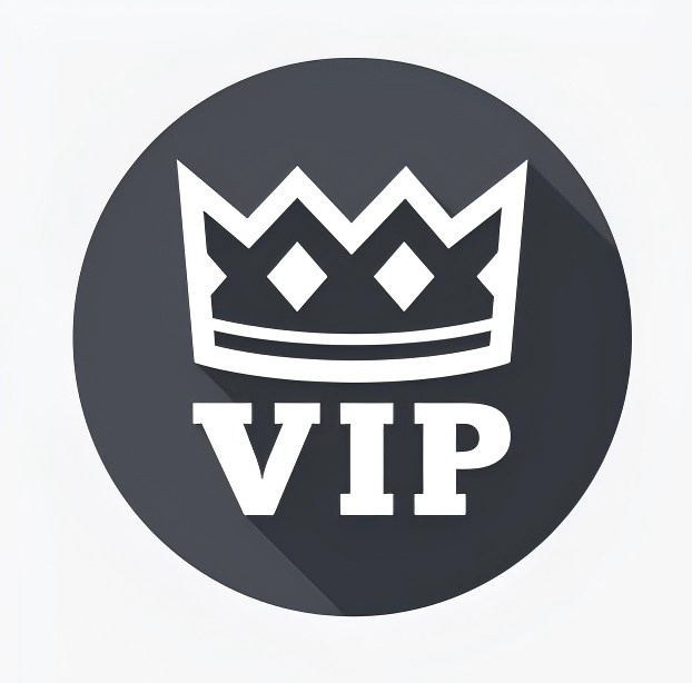 10A Mirror Quality More style bag shoe belt consultation and purchase payment link VV2