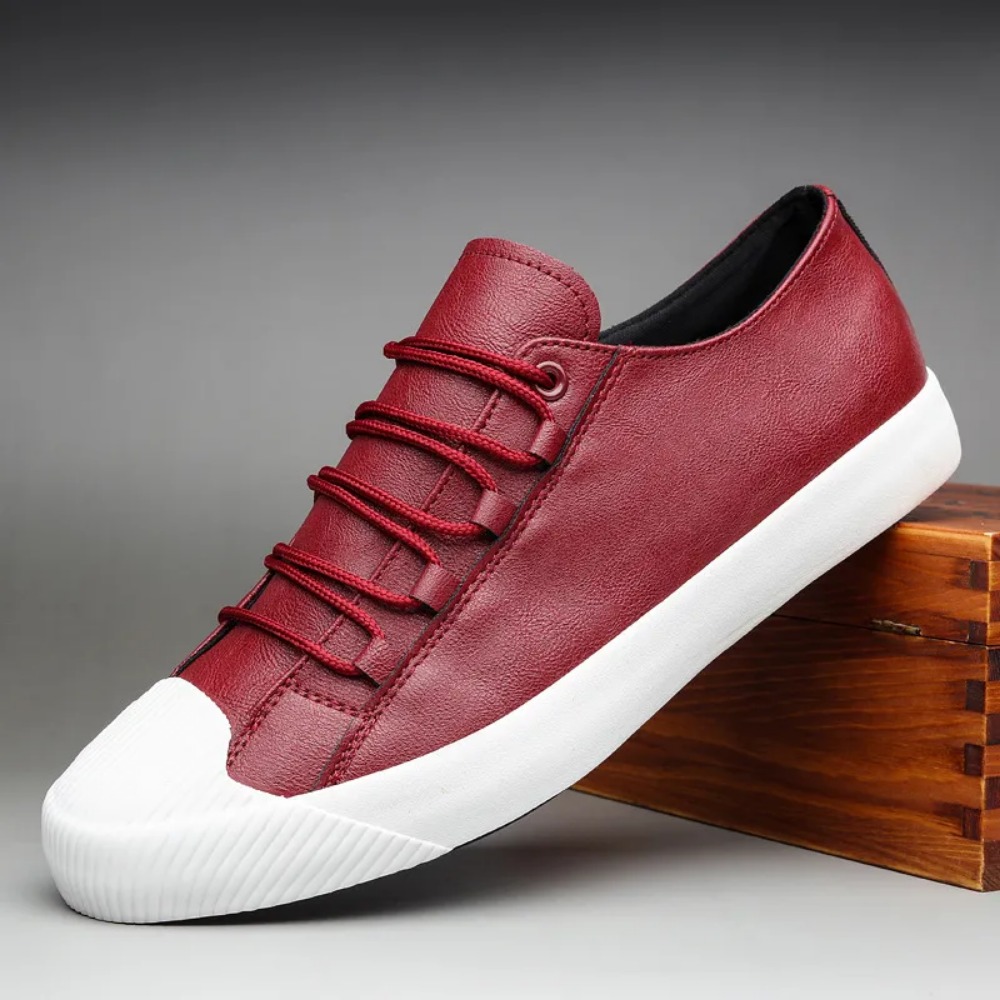 Elegant Mens Canvas Slip-Ons with Mesh Detailing for Comfort | Available in Classic Shades