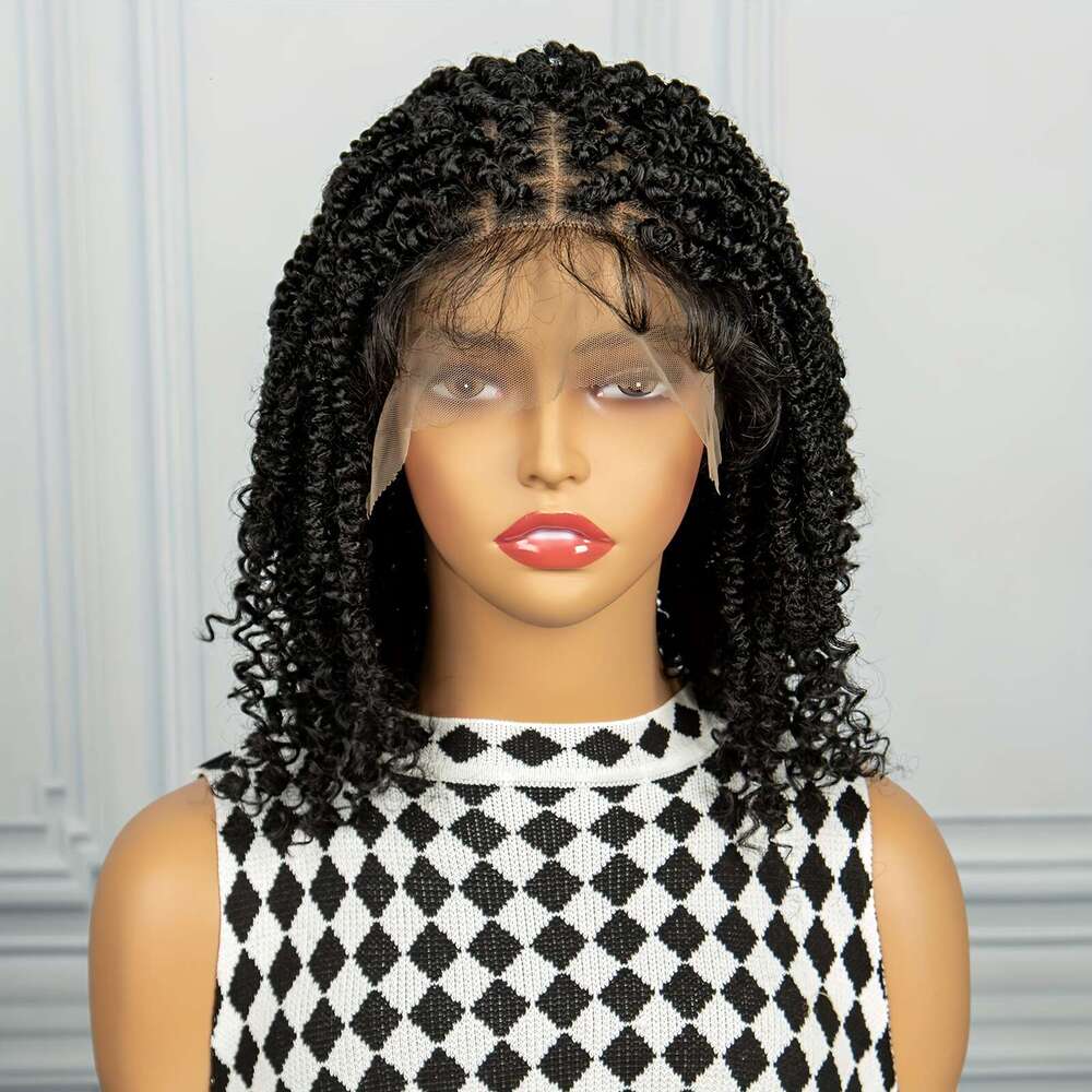 Curly Braids Synthetic Lace Beginners Friendly Heat Resistant Wig For Women