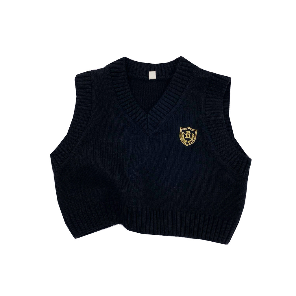 Autumn and winter new children's sweater embroidered V-neck vest, men's and women's knitted sleeveless jacket layered fashion