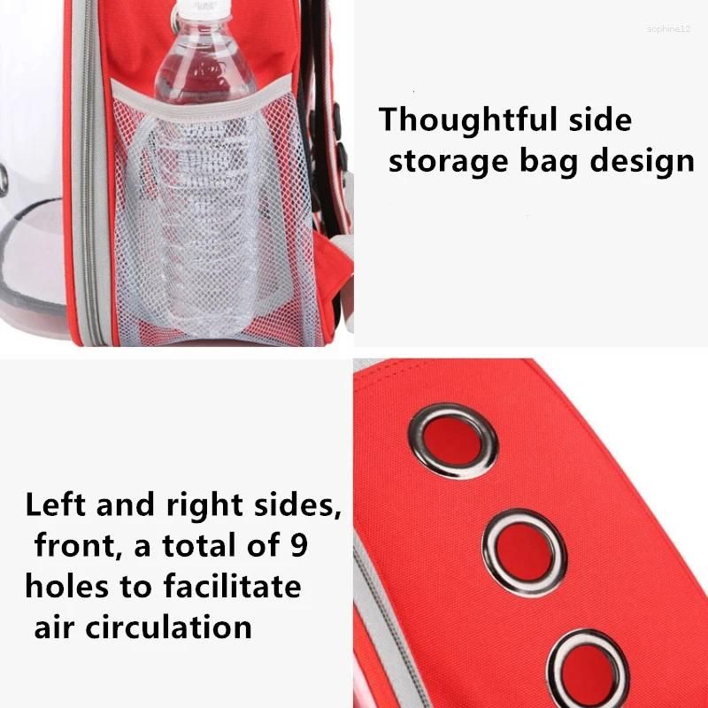 Pet Transporter: Ventilated Clear Plastic Should-Pack For Canines And Felines On-The-Go