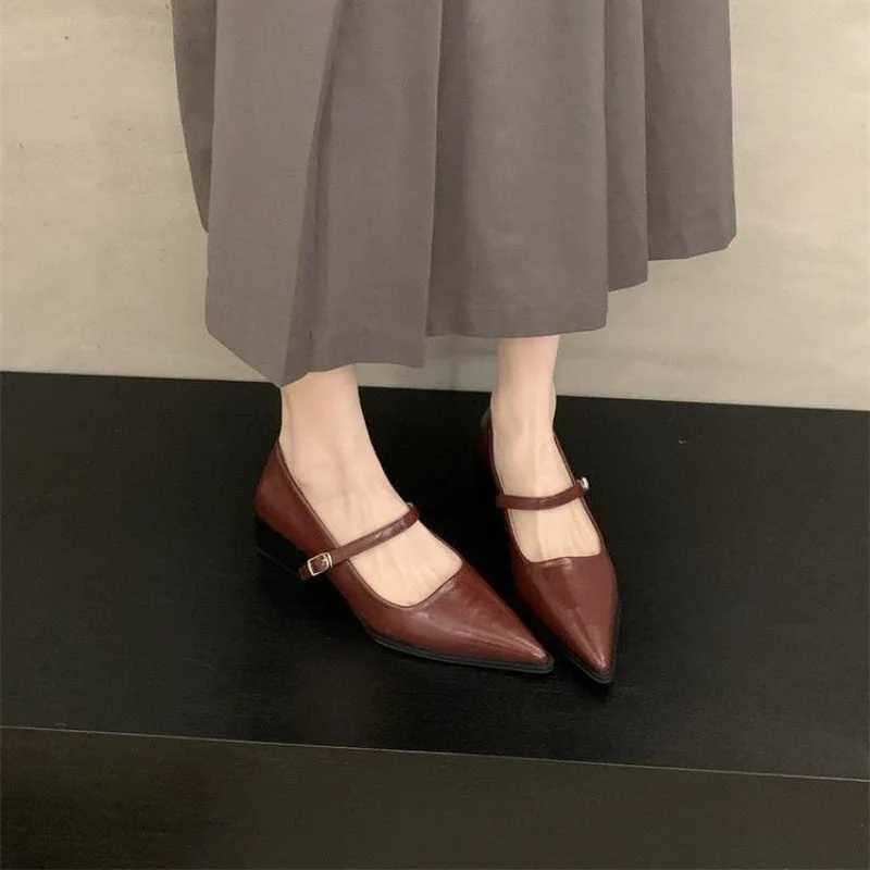 Style Thick Heel Women Mary Jane Shoes Fi Shallow Pointed Toe Ladies Comfort Office Pumps Footwear 2025 Spring NewXJ251027