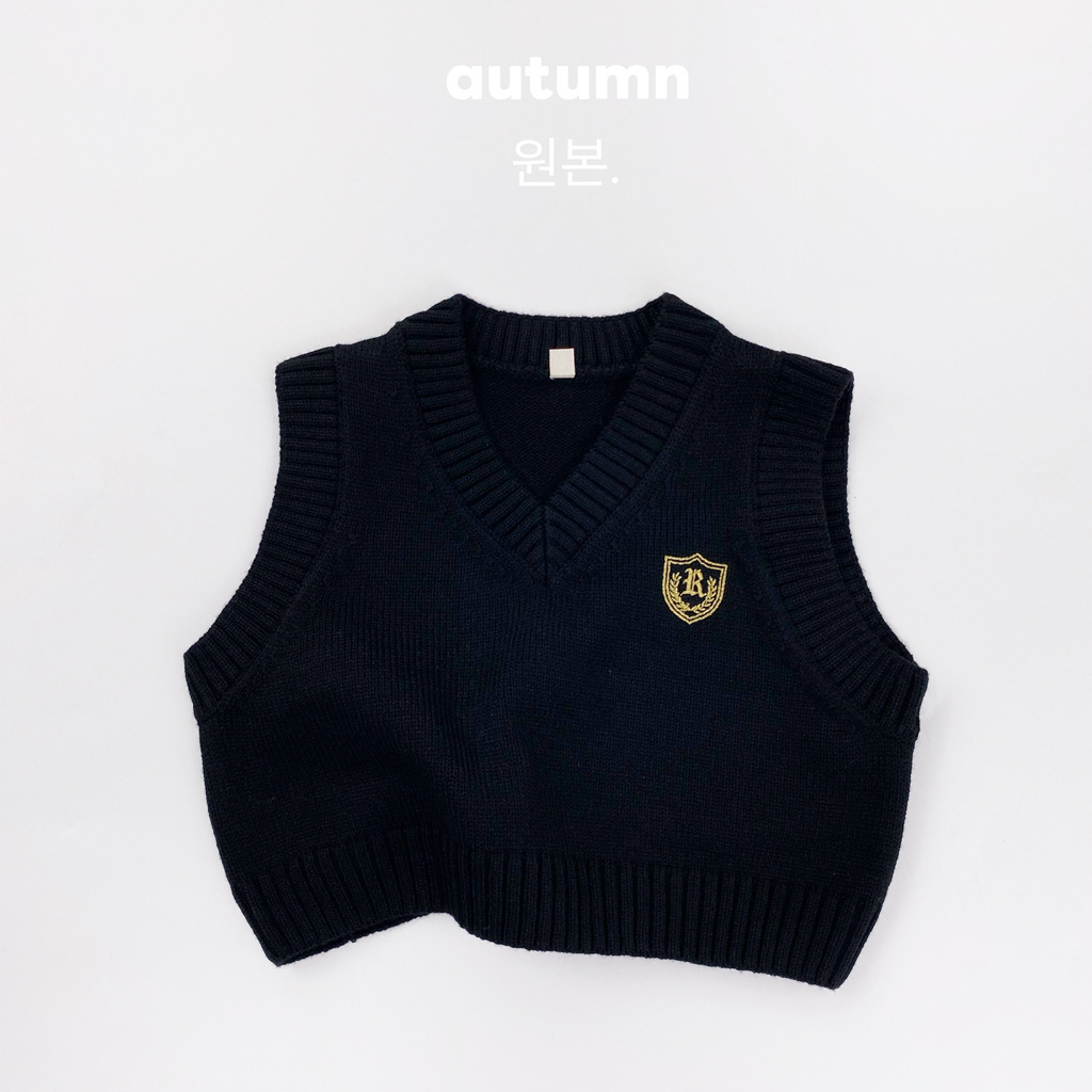 Autumn and winter new children's sweater embroidered V-neck vest, men's and women's knitted sleeveless jacket layered fashion