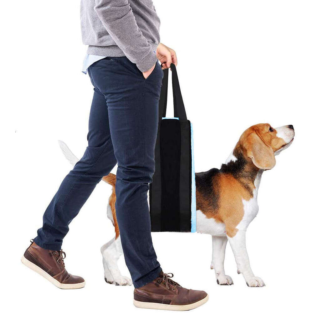 Portable Warm Breathable Pet Walking Support Dog Disability Postoperative Aid Belt