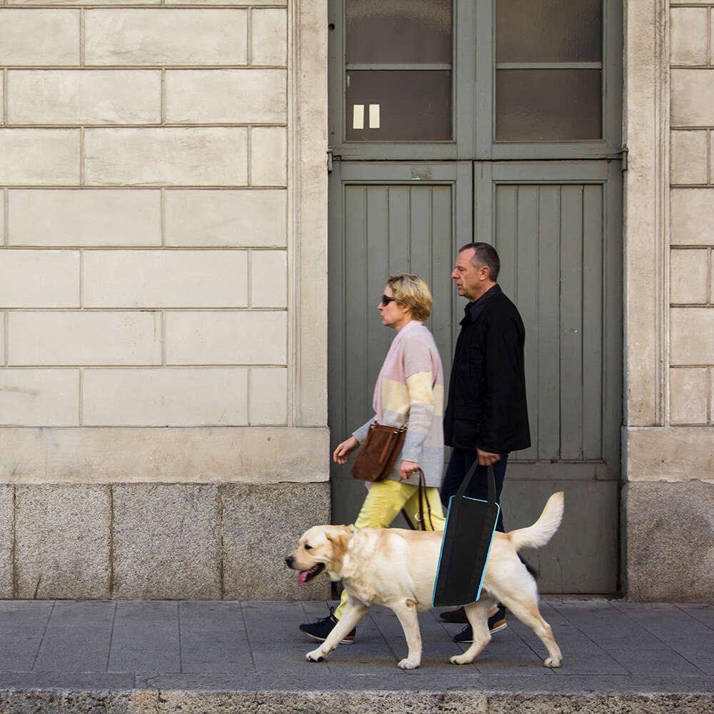 Portable Warm Breathable Pet Walking Support Dog Disability Postoperative Aid Belt