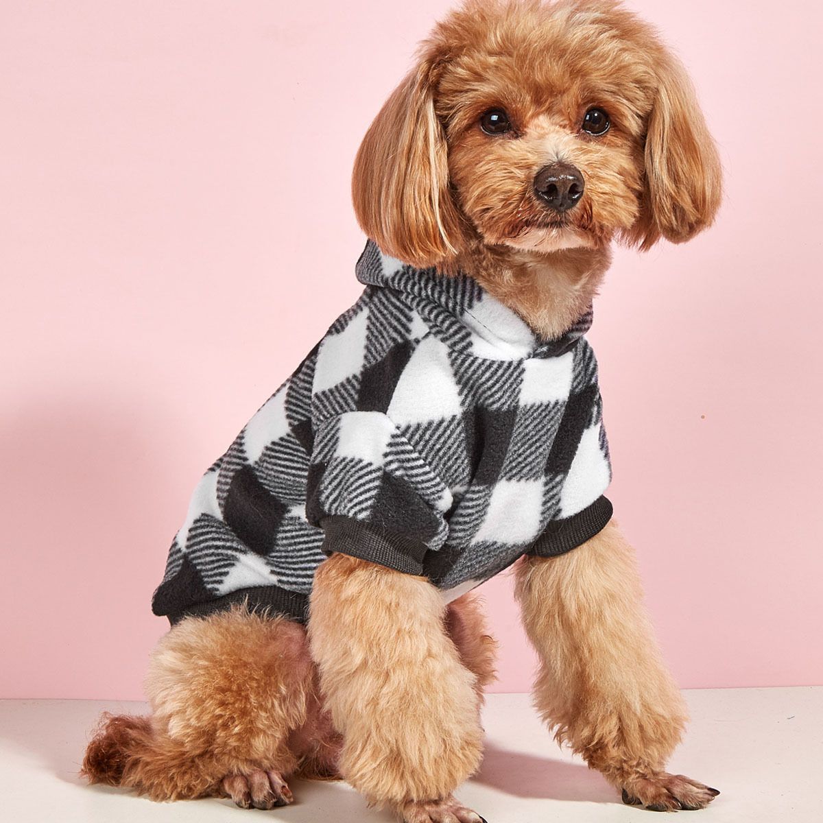 Winter Pet Cat Dog Clothes Hoodies Sweater Coat Dog Sweatshirts Warm Pet Apparel Puppy Outfit Small Pet Clothes Hoodies