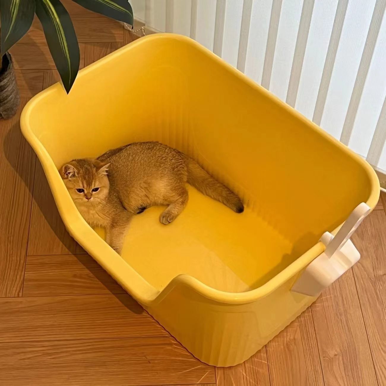 Huge Extra Large Anti-Splash Elevated Semi-Enclosed Open Container Cat Litter Box for Maine Coon Cats Supplies