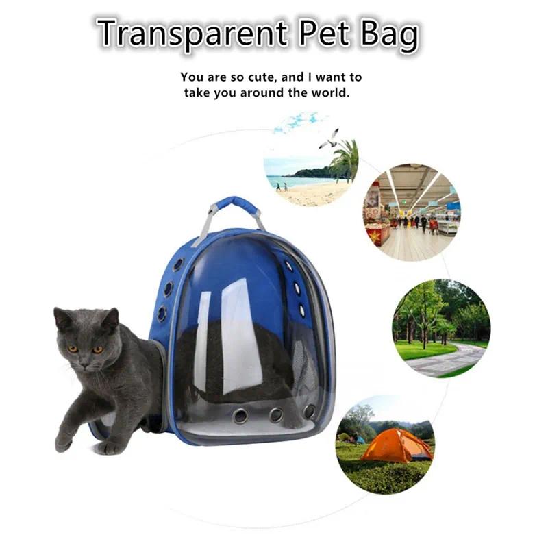 Pet Transporter: Ventilated Clear Plastic Should-Pack For Canines And Felines On-The-Go