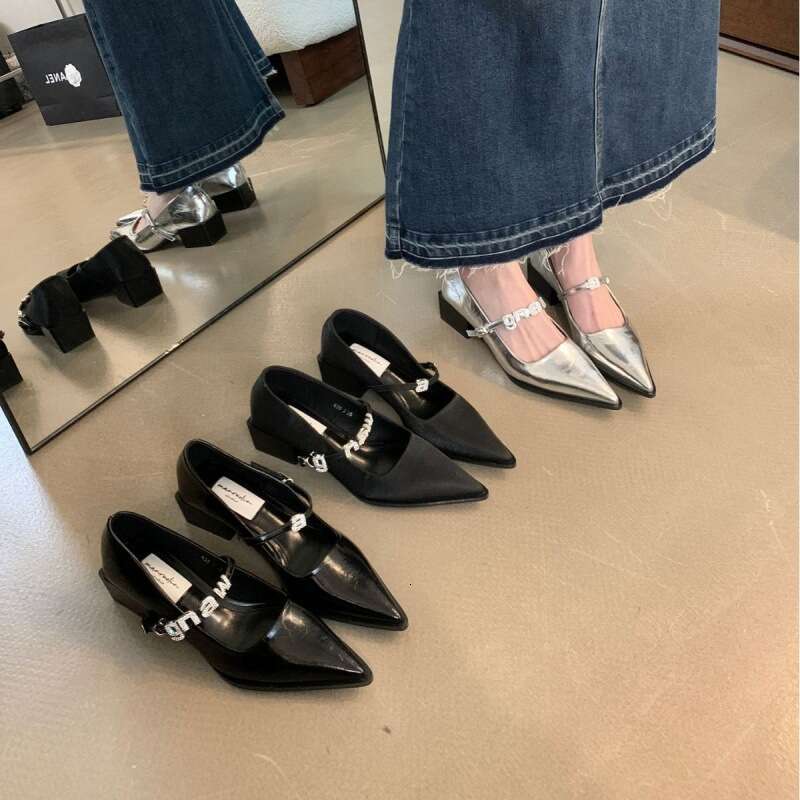 2025 Autumn New Niche Mary Jane Designer Shoes - Women's Pointed Toe Thick Mid-Heel Single Shoes, One-Strap Buckle for Outdoor & Evening Occasion