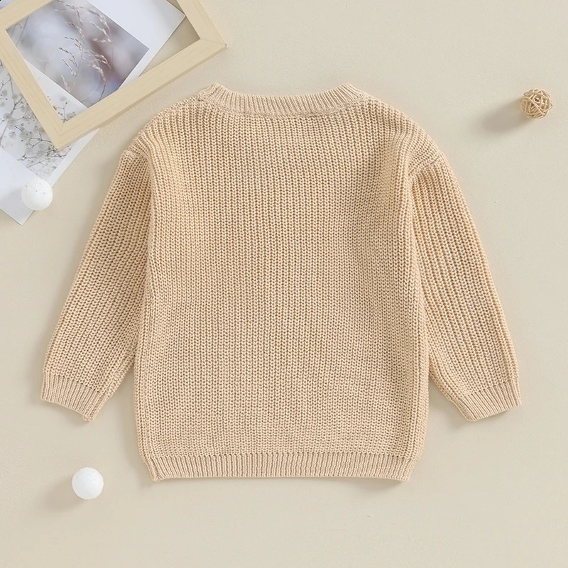 0918 Lioraitiin 12M5Y Winter born Kids Boys Sweaters Cotton Long Sleeve Letter Embroidery Pullover Loose Knitwear Tops 251027