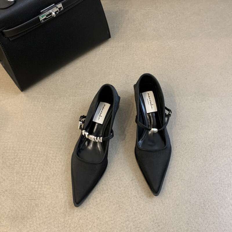 2025 Autumn New Niche Mary Jane Designer Shoes - Women's Pointed Toe Thick Mid-Heel Single Shoes, One-Strap Buckle for Outdoor & Evening Occasion
