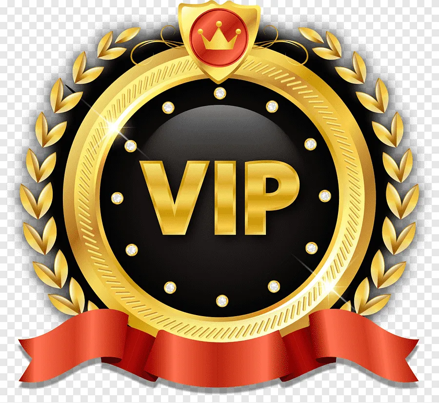 ZZ-YJ VIP Exclusive Payment Portal Orders Balance Top-Up & Express Shipping