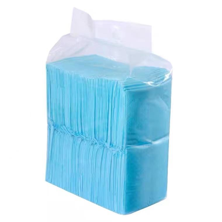 Basics Dog and Dog Pee Pads, 5-Layer Leakproof Super Absorbent, Quick-Dry Surface, Potty Training, Regular (60*60cm), 40 Count, Blue