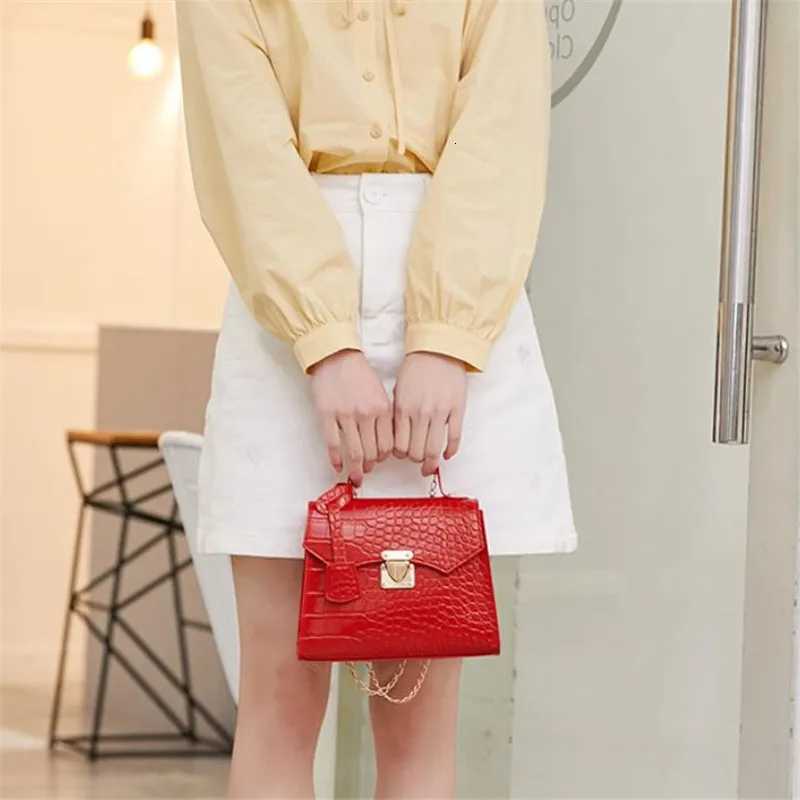 Chic Crocodile Small Tote Bag Ladies Handbag Vintage Square Bag Stylish Chain Shoulder Crossbody Bags Daily Use Phone Coin PurseW251028