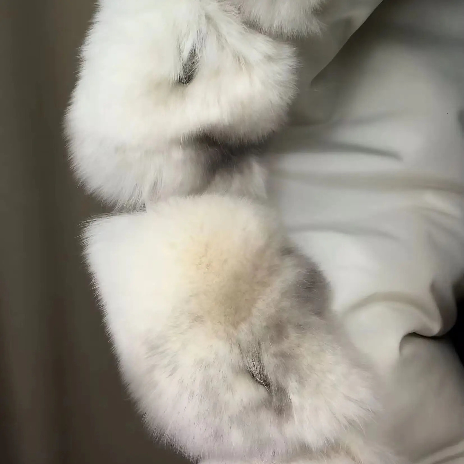 Natural Rex Rabbit Fur Vest for Women Korean Style Gilet Furry Waistcoat Warm Beige Light Brown Color Free Size Winter 251027