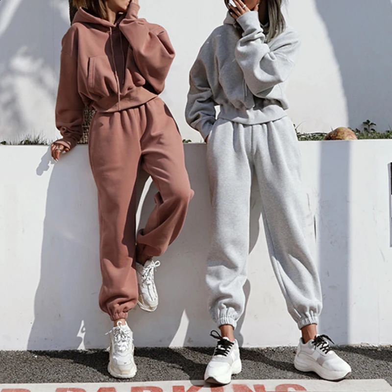 Two Piece Set Casual Fleece Tracksuit Women Winter Womens Sets Oversized Hooded Long Sleeve Hoodie Sport Pants Lady Suit 251027