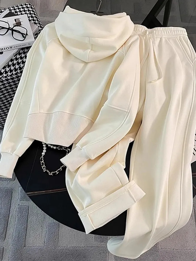 Women Running Sportswear Set Fleece Cardigan Hooded Sweatshirt Two Piece Set Tracksuit Gym Fitness Jogging Outdoor Training Sets 251027