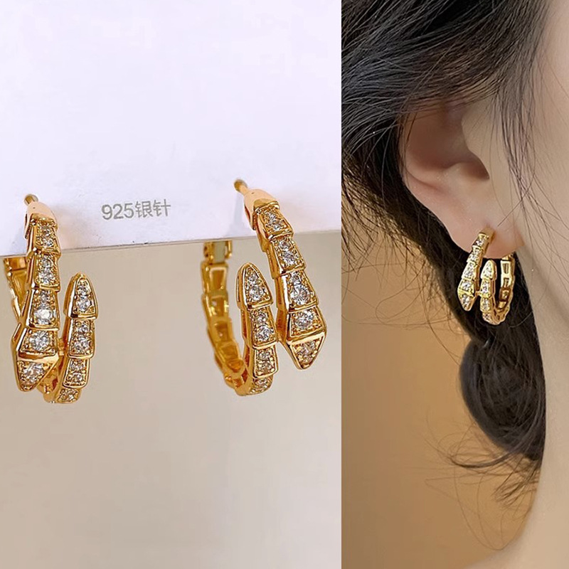 Serpentine Zircon Earrings with Niche Design, High-end Temperament, Light Luxury Earrings, New Popular Fashion Earrings for Women