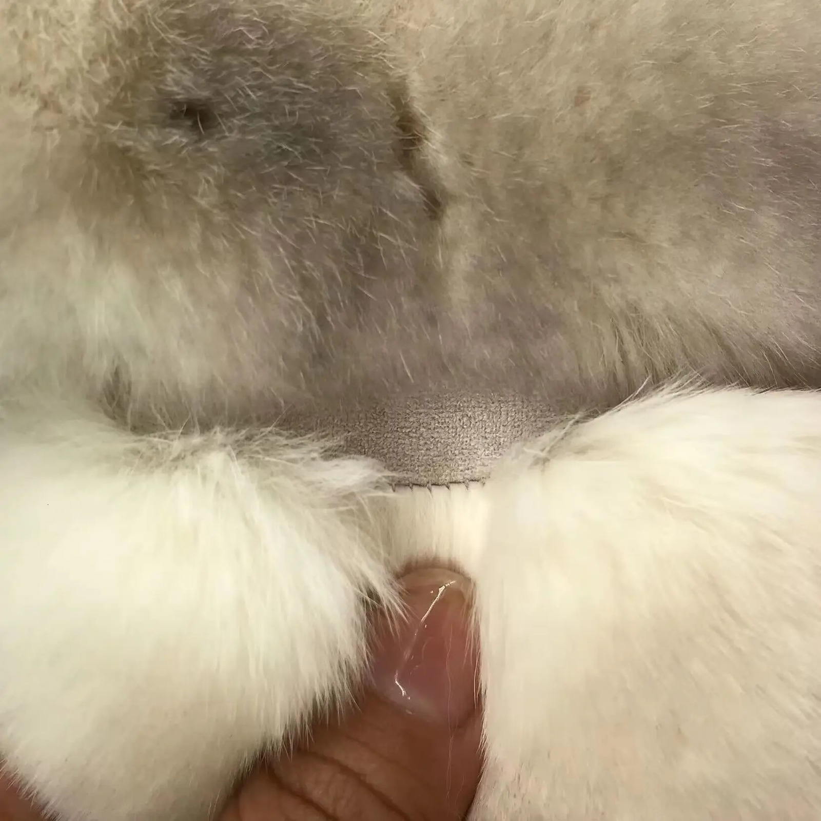 Natural Rex Rabbit Fur Vest for Women Korean Style Gilet Furry Waistcoat Warm Beige Light Brown Color Free Size Winter 251027