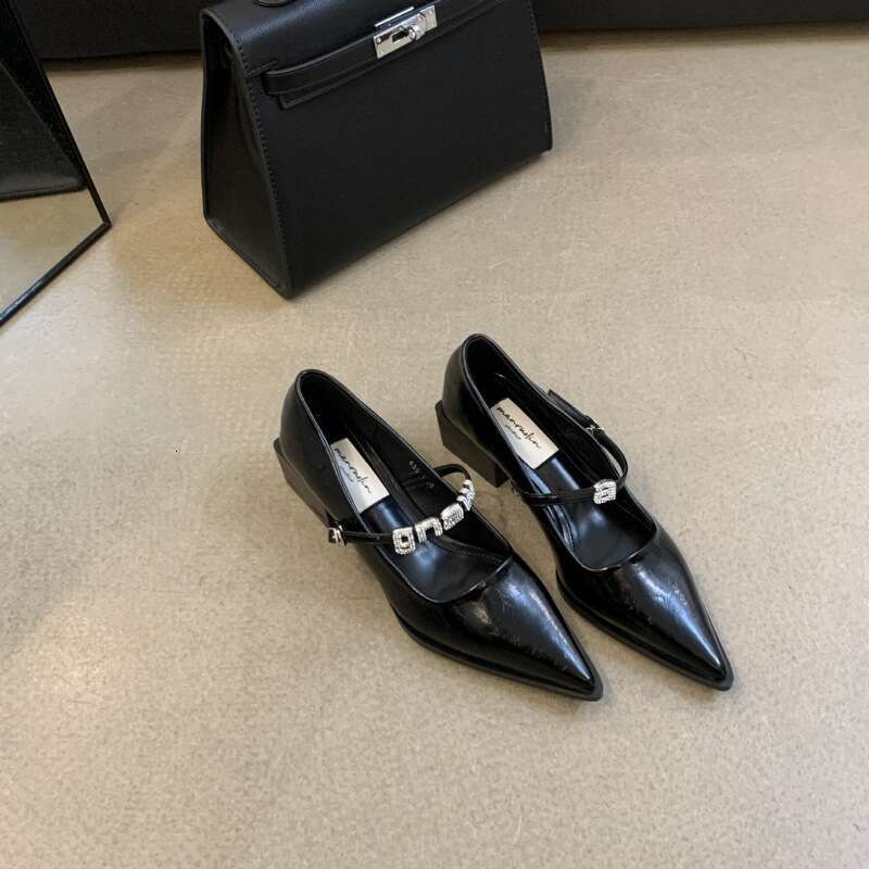 2025 Autumn New Niche Mary Jane Designer Shoes - Women's Pointed Toe Thick Mid-Heel Single Shoes, One-Strap Buckle for Outdoor & Evening Occasion