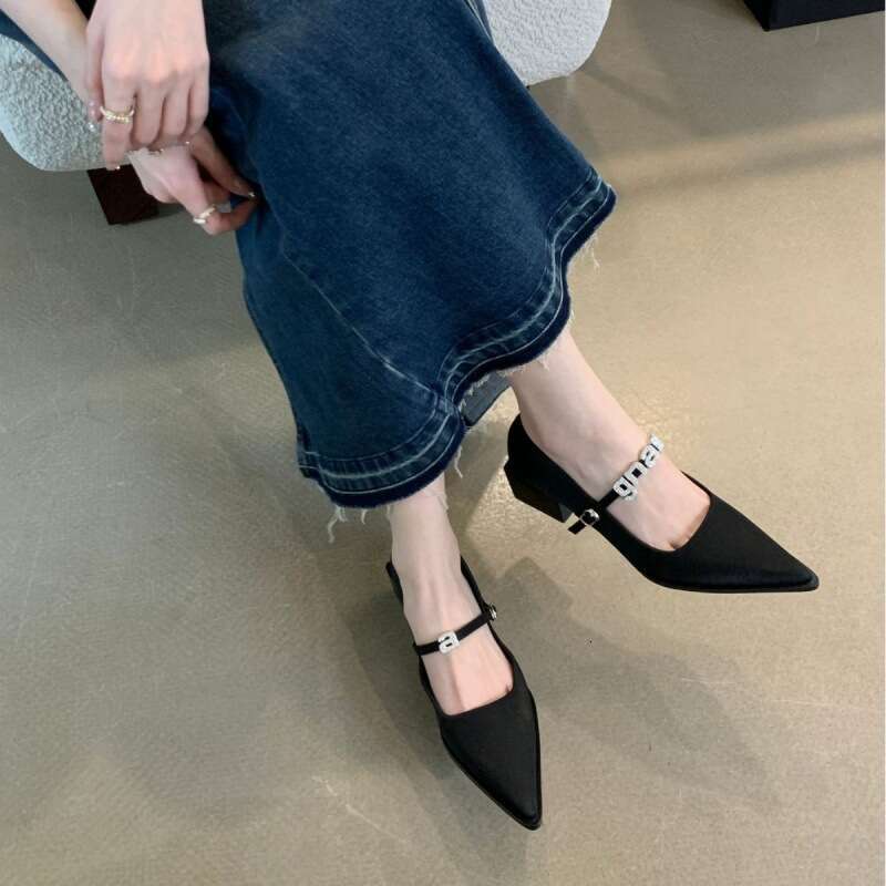 2025 Autumn New Niche Mary Jane Designer Shoes - Women's Pointed Toe Thick Mid-Heel Single Shoes, One-Strap Buckle for Outdoor & Evening Occasion