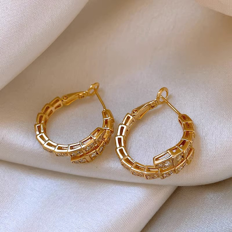 Serpentine Zircon Earrings with Niche Design, High-end Temperament, Light Luxury Earrings, New Popular Fashion Earrings for Women