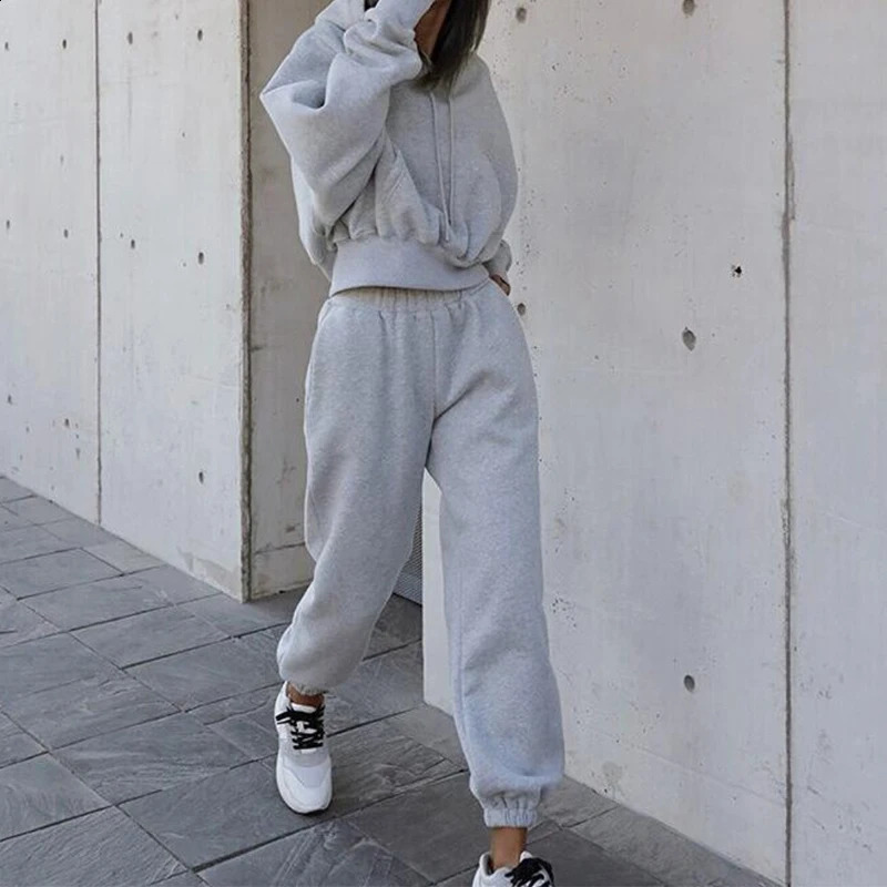 Two Piece Set Casual Fleece Tracksuit Women Winter Womens Sets Oversized Hooded Long Sleeve Hoodie Sport Pants Lady Suit 251027