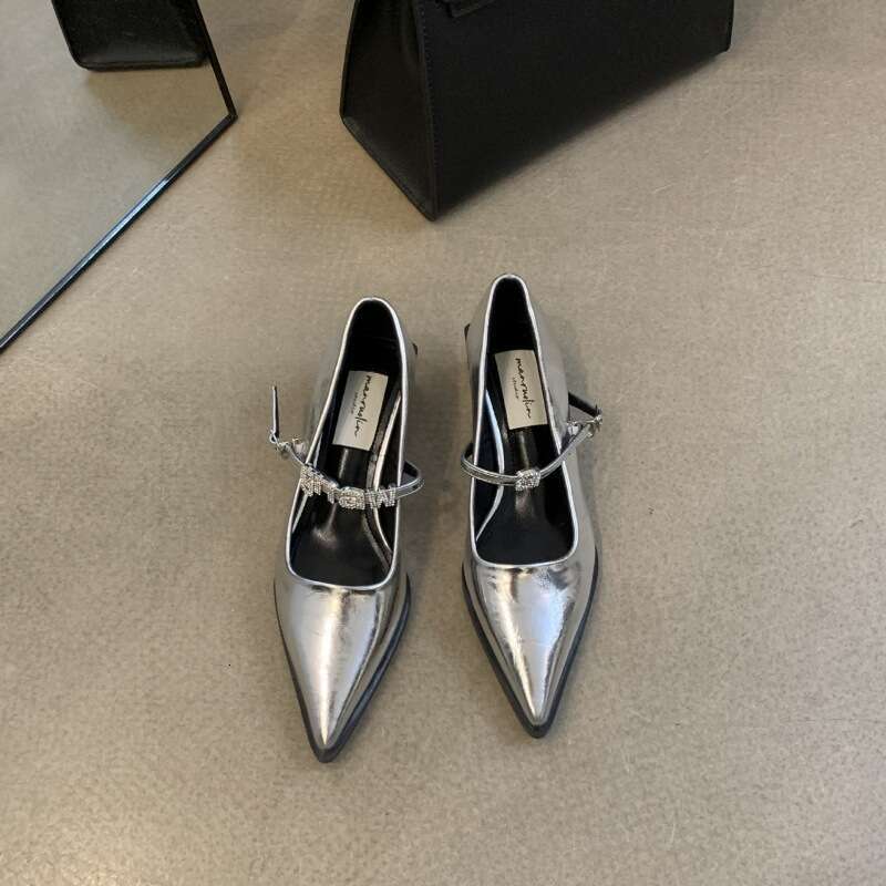 2025 Autumn New Niche Mary Jane Designer Shoes - Women's Pointed Toe Thick Mid-Heel Single Shoes, One-Strap Buckle for Outdoor & Evening Occasion