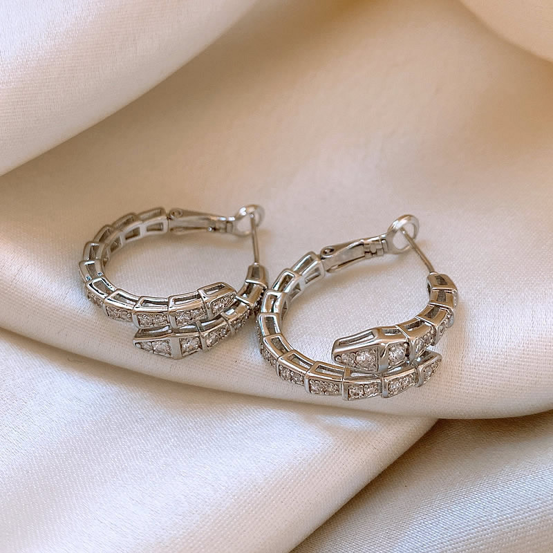 Serpentine Zircon Earrings with Niche Design, High-end Temperament, Light Luxury Earrings, New Popular Fashion Earrings for Women
