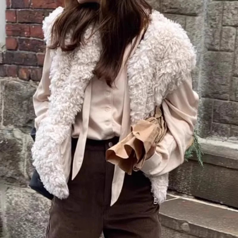 Fur OnePiece Vest For Women In Autumn And Winter Fashionable Retro French Lambhair Short Loose Vest 251027