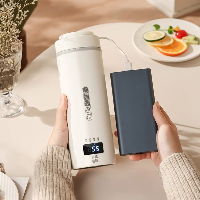 Compact Travel Kettle 550ml 300W Fast Boiling 4 Precise Temperature Settings 316 Stainless Steel Interior Portable Water Cup 251028 W260226