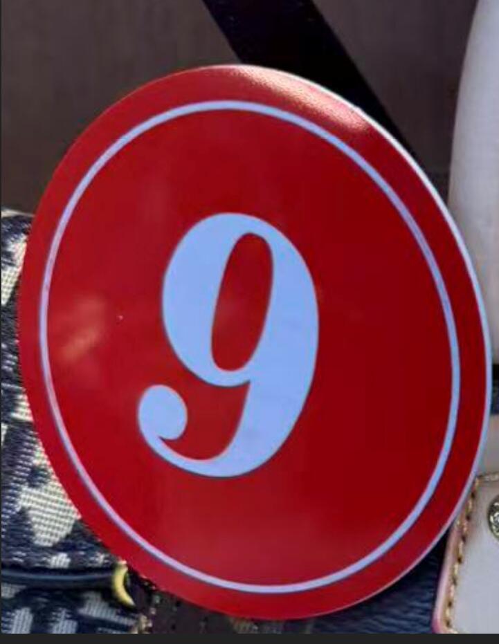 Premium Designer Shoulder Bag Sleek Design Ideal for Daily Use 0009