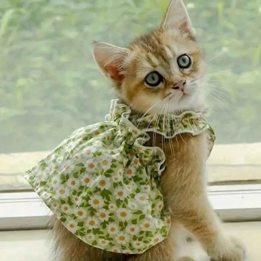 1pc Pet Dress Romantic Style Dog Summer Dress Cat Skirt With Green Floral Print Small Dog Clothes Pet Clothing Chihuahua Skirt 251029