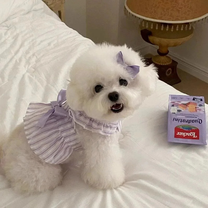 Bichon Teddy Dog Cat Striped Dress Summer Lightweight Breathable Adjustable Puppy Clothes Ready To Ship Cute Spring Pet Apparel 251029