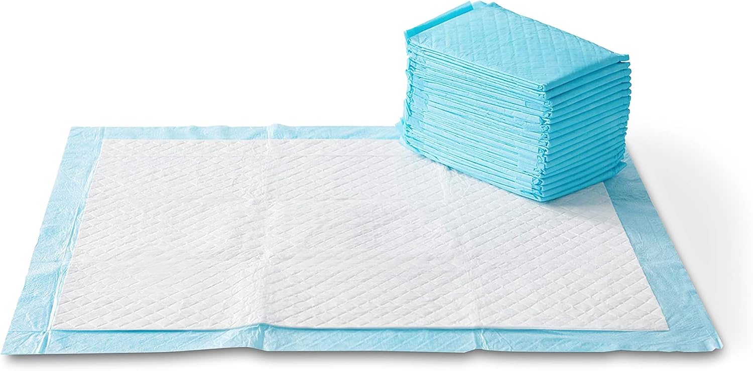 Basics Dog and pet urine pads, 5-Layer Leakproof Super Absorbent, Quick-Dry Surface, Potty Training, Regular (33*45cm),100 Count, Blue