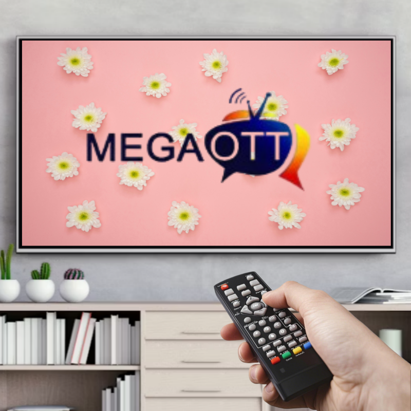 TV Remote Controller For Smart TV FHD Mega Android TV Box 12 months free replace France Europe Canada