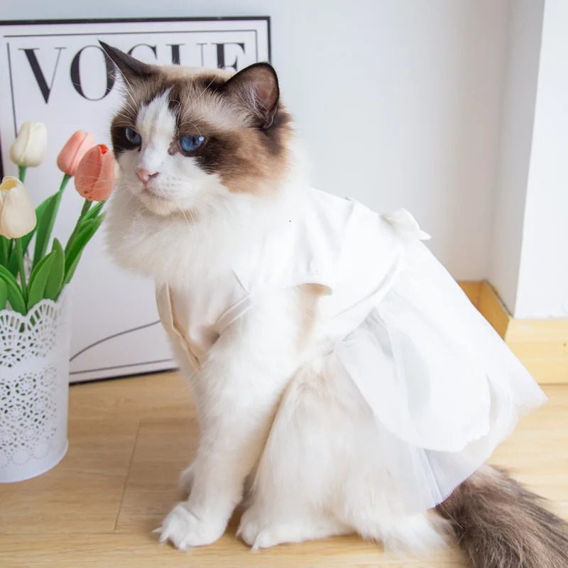 Pet Wedding Clothing Cat Spring Summer Thin White Retro Flower Dress Princess Wedding Dress Suitable for Small and Medium Dogs 251029