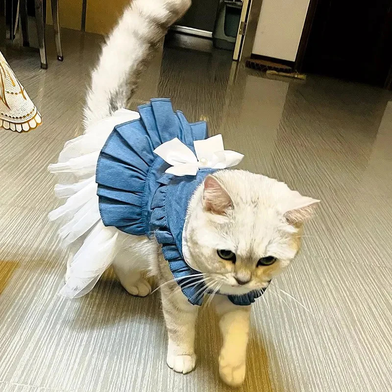 Denim Sphynx Cat Princess Dress Classic Pet Bow Dresses for Cats Gotas mascotas Clothes Puppy Dog Skirt vestidos para perras 251029