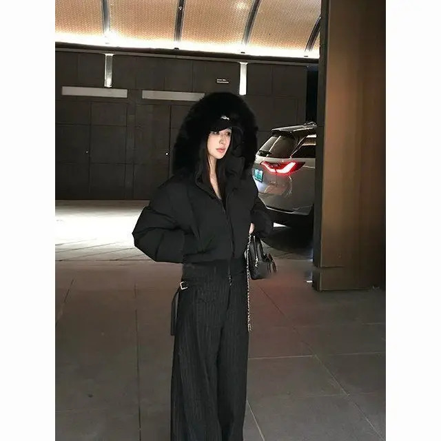 Simple Solid Color Short Parka Coat Fashionable Street Zipper Hooded Short Cotton Clothing Winter Clothes Women Jacket Women 251013