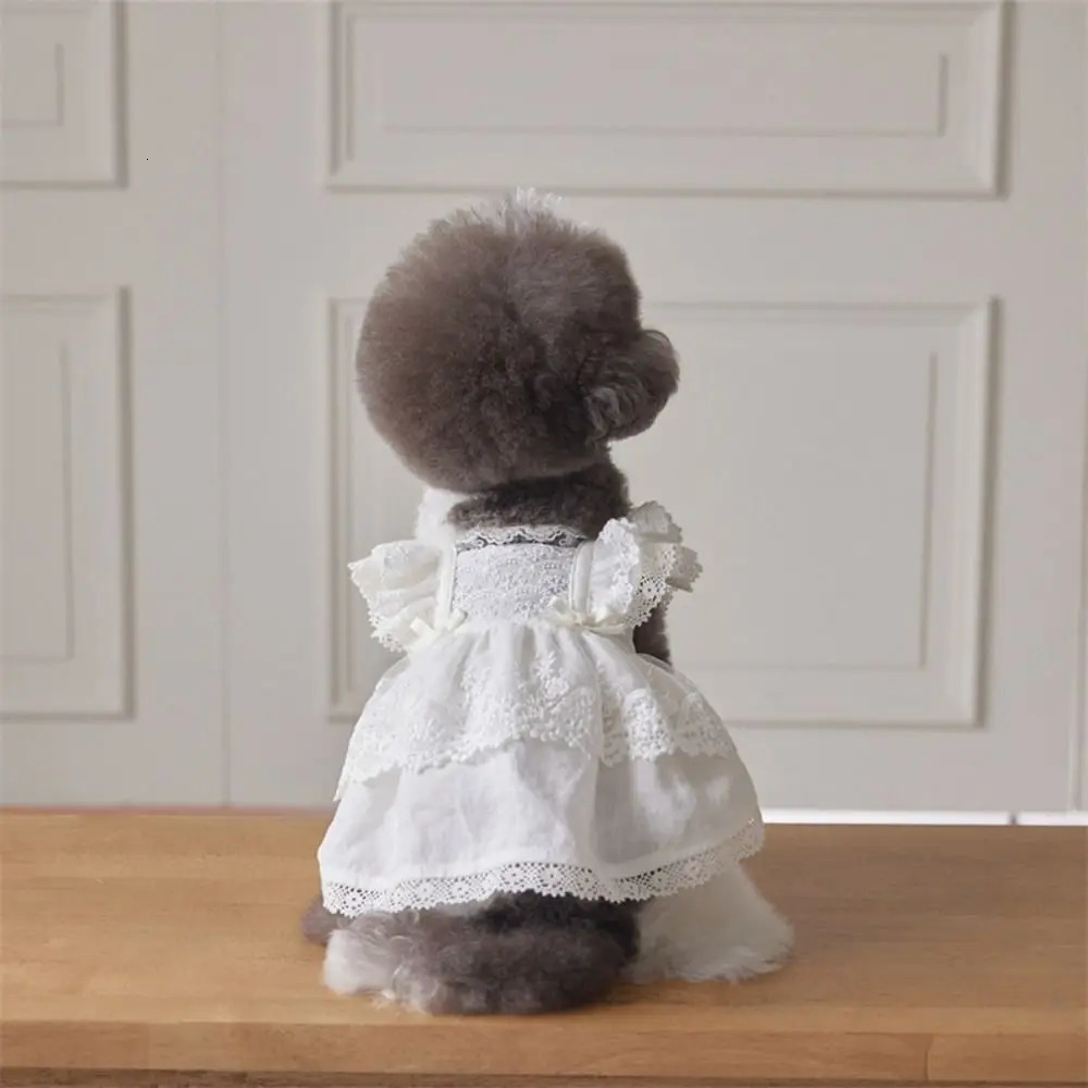 Cute CottonLace Pet Flying Sleeve Skirt White XSXL Cat Top Breathable Pet Costumes Cat Dog 251029