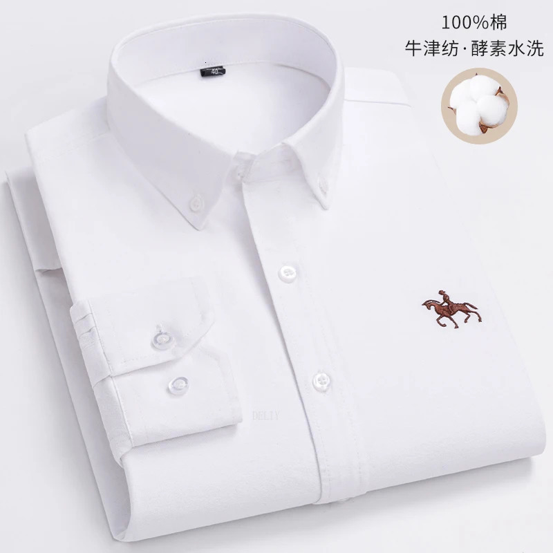 100 Cotton Oxford Man Leisure Embroidered Horse Shirts Streetwear Oversized Men Shirt Floral Long Sleeve Casual Plus Size 251029